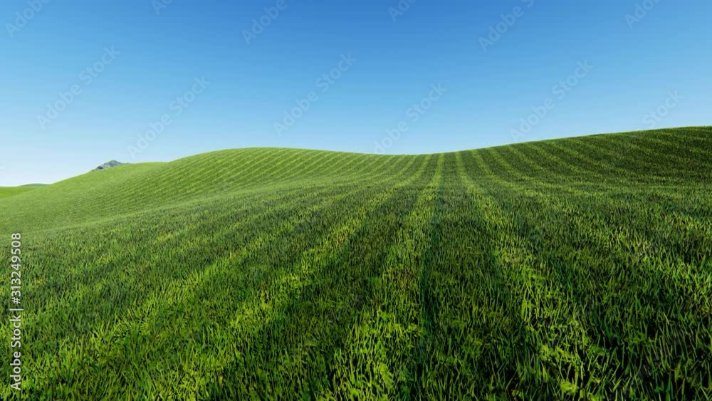 Green Meadow with sky and Clouds, 4K Animation, 3D Rendering Green Meadow with sky and Clouds, 4K Animation, 3D Rendering