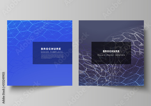 Vector layout of two square format covers design templates for brochure, flyer. Digital technology and big data concept with hexagons, connecting dots and lines, polygonal science medical background.