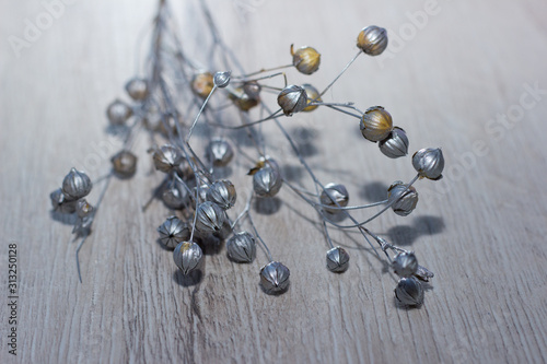 dried grass seeds on wooden background