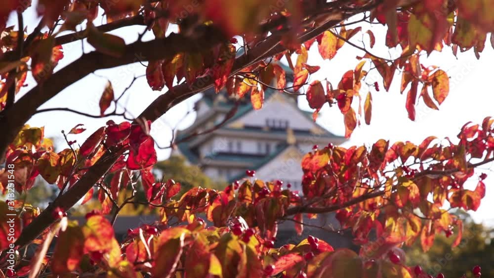 Burg Osaka Hauptturm Tenshu von außen
