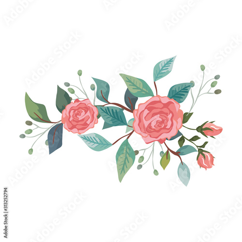 cute roses with branches and leafs isolated icon vector illustration design