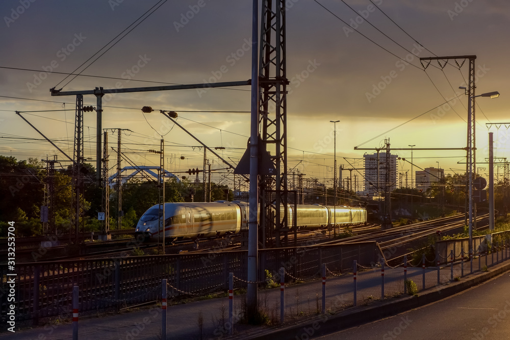 Obraz Train Arriving in Mannheim