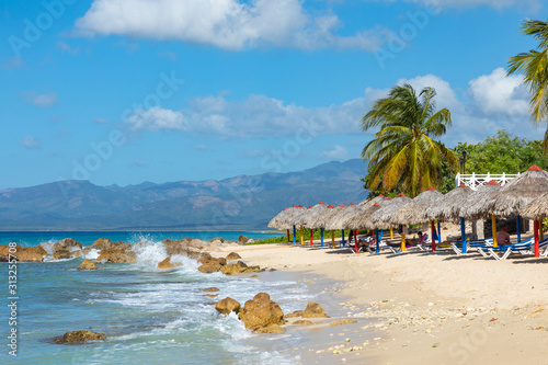 Fototapeta Naklejka Na Ścianę i Meble -  Trinidad, Cuba. Coconut on an exotic beach with palm tree entering the sea on the background of a sandy beach, azure water, and blue sky.