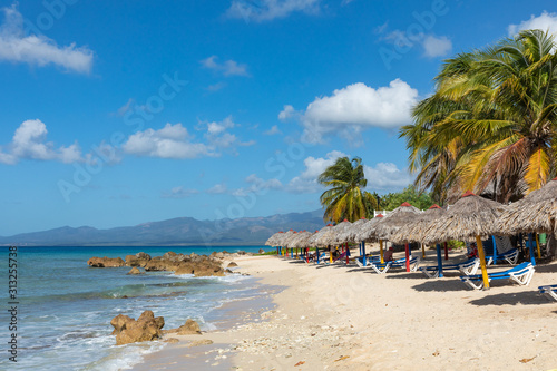 Fototapeta Naklejka Na Ścianę i Meble -  Trinidad, Cuba. Coconut on an exotic beach with palm tree entering the sea on the background of a sandy beach, azure water, and blue sky.