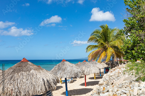 Fototapeta Naklejka Na Ścianę i Meble -  Trinidad, Cuba. Coconut on an exotic beach with palm tree entering the sea on the background of a sandy beach, azure water, and blue sky.