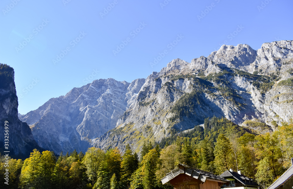 Aussicht auf Bäume und Berge von der Halbinsel Hirschau in Berchtesgaden
