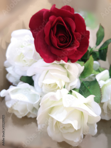 red and white rose flower arrangement Beautiful bouquet on blurred of background symbol love Valentine   s Day