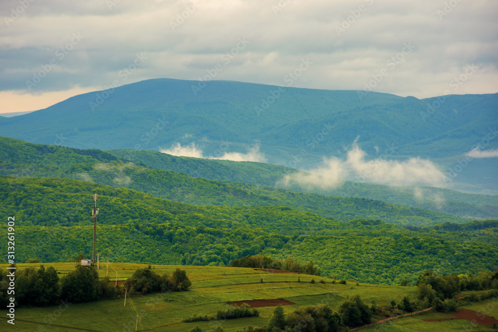 clouds rising above the hills. mountainous countryside of carpathians. fog evaporate from the green forest just after it rains. overcast windy sunrise in springtime.