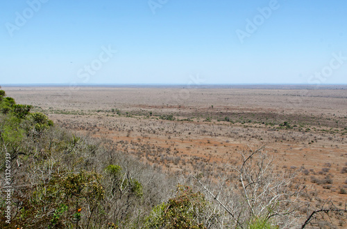 Parc national Kruger  Afrique du Sud