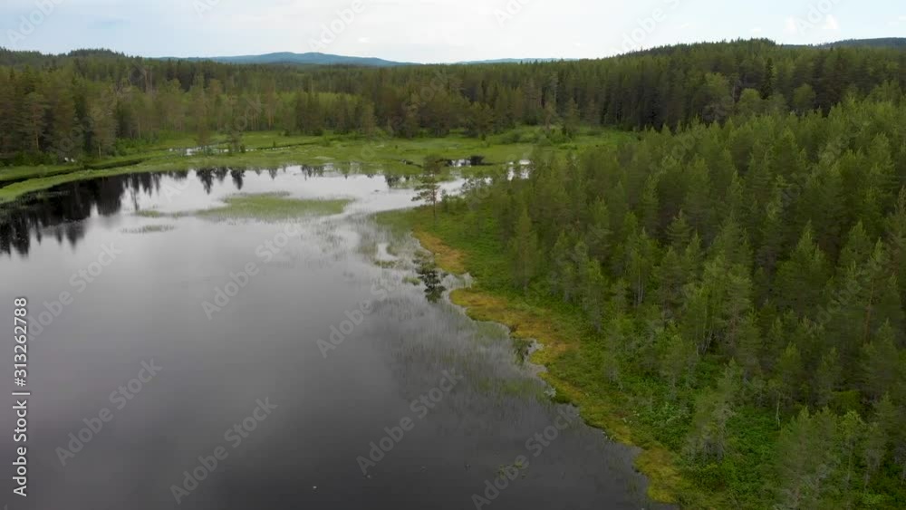 Aerial drone flight over lake and swamp area in a pine tree forest in Dalarna county, Vansbro municipality , in Sweden Aerial drone flight over lake and swamp area in a pine tree forest in Dalarna county, Vansbro municipality , in Sweden