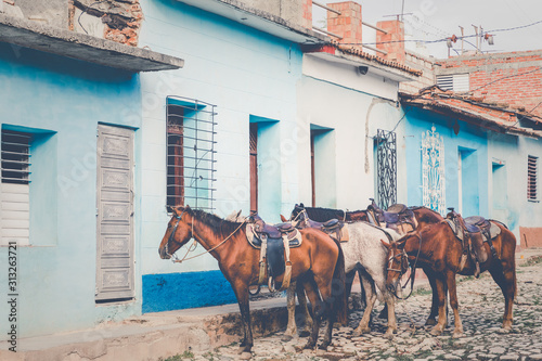 Canvas Print Colorful houses and vintage cars in Trinidad, Cuba