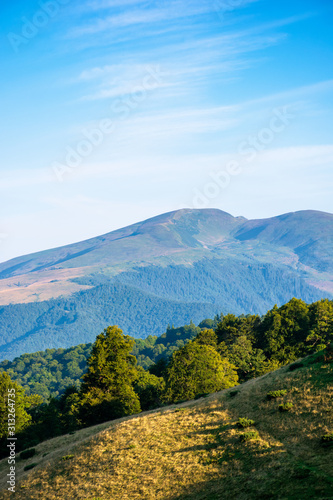 mountain landscape with clouds. beautiful summer scenery. forest on the hills © Pellinni