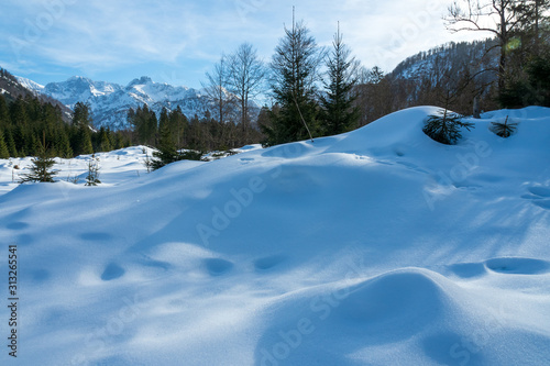 View of the Alm valley covered in deep snow with the high rising Austrian alps in the background - near Grünau im Almtal, Salzkammergut, OÖ, Austria