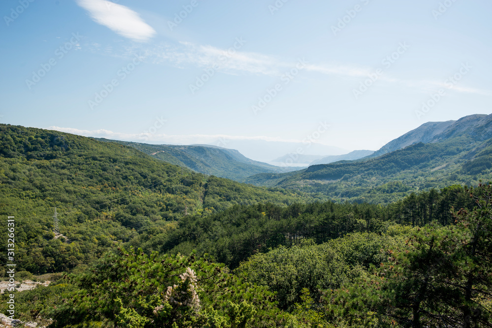 Naklejka premium Kroatien Berge mit Wald