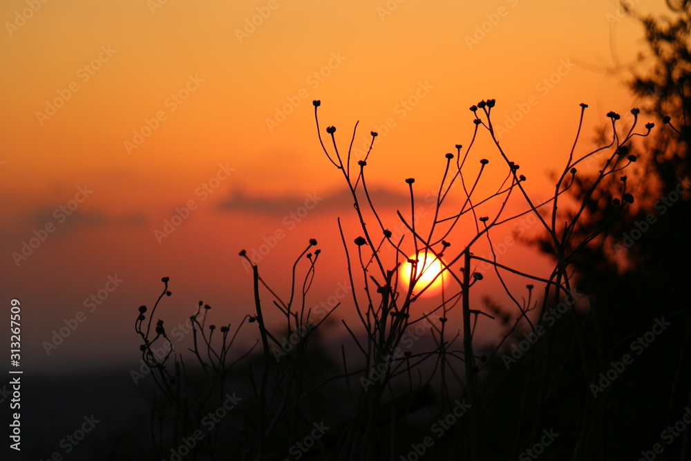 Sunset in Palestine