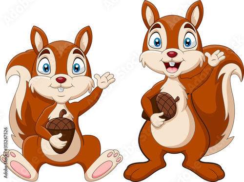 Cartoon funny squirrel holding nut