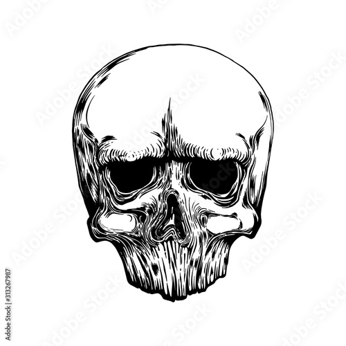 Anatomic Skull Vector Art. Detailed hand-drawn illustration of skull with open mouth. Grunge weathered illustration. Vector art. tattoo design.
