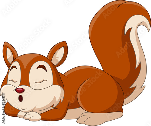 Cartoon funny squirrel a sleeping