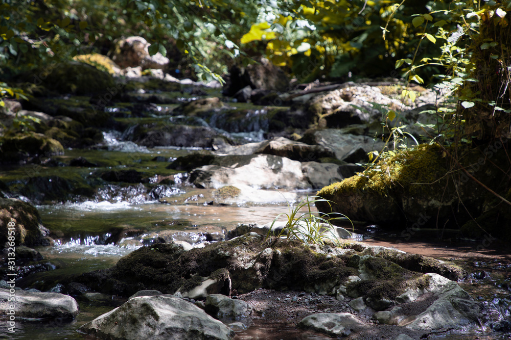 TARA National Park, Serbia - Waterfalls and rapids of a mountain stream