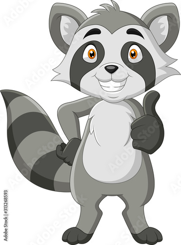 Cartoon funny Raccoon thumb up