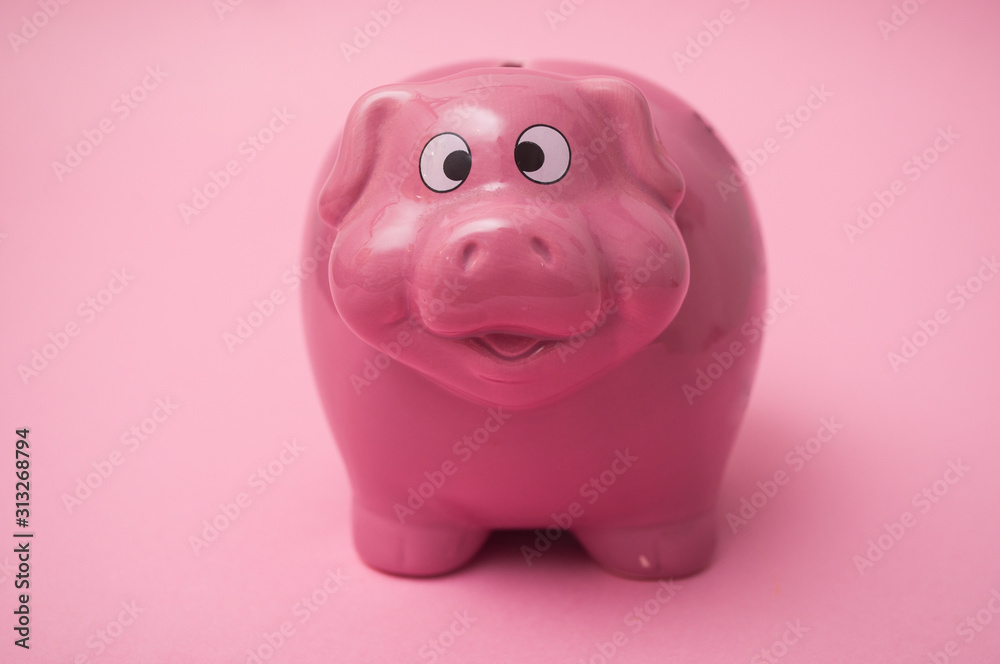 front view of pink piggy bank on pink background front view of pink piggy bank on pink background