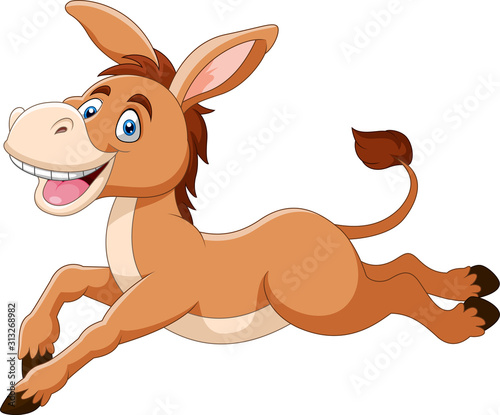 Cute donkey cartoon a smile