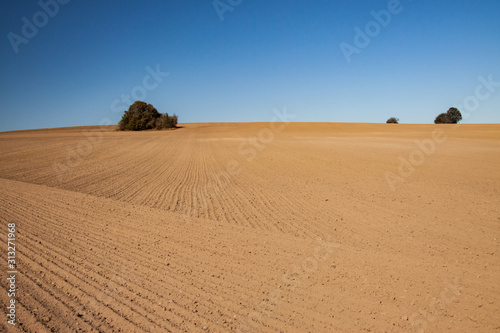 a dry dusty field