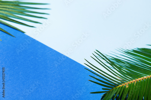 Tropical palm leaves background, vacation summer holiday concept