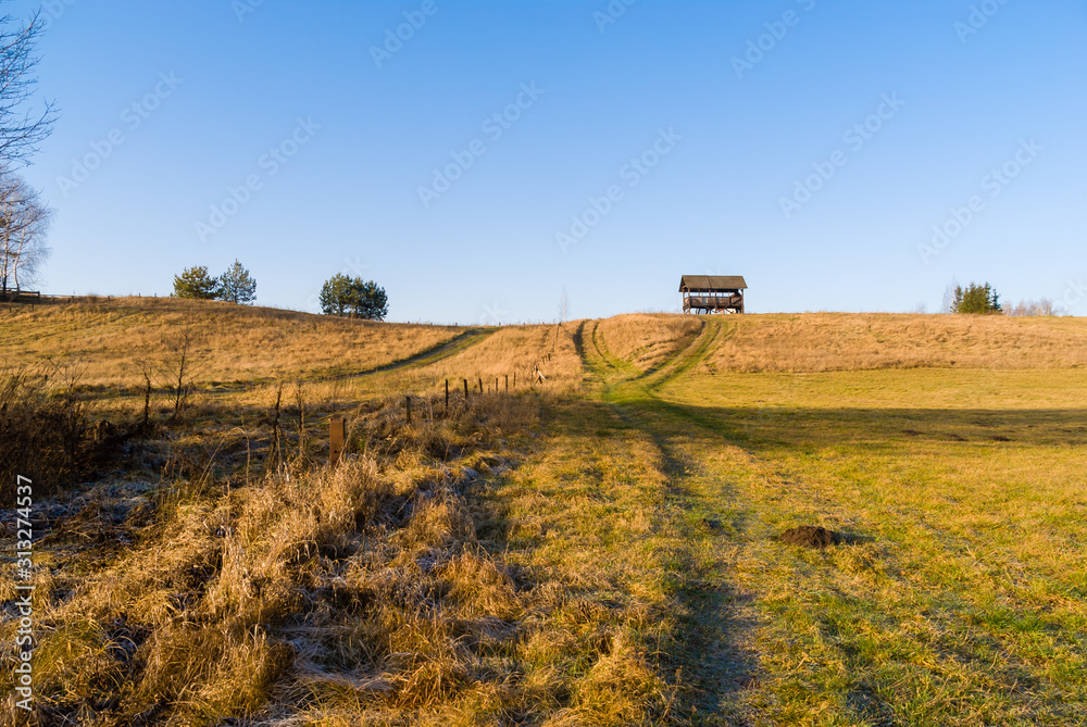 Fototapeta premium Syczeń 2020, Ciepła zima nad Biebrzą, Biebrzański Park Narodowy, Biebrza Podlasie, Polska