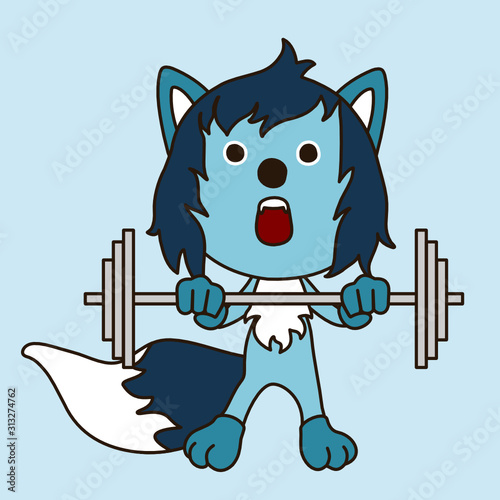 Emoticon with a cool wolf with blue wool weightlifter that stands and raises the barbell, color vector clip art on isolated background