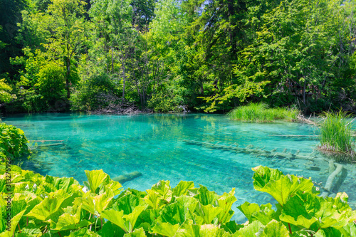 Plitvice lakes. Croatia. Azure clean waters. National park.