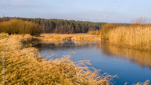 Syczeń 2020, Ciepła zima nad Biebrzą, Biebrzański Park Narodowy, Biebrza Podlasie, Polska