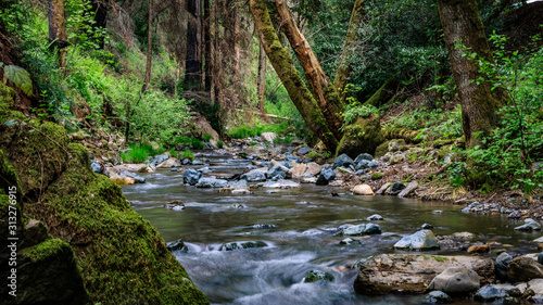 Sonoma Creek flows back and forth with a green mossy rock and tall trees at Sugarloaf Ridge State park in Kenwood California photo
