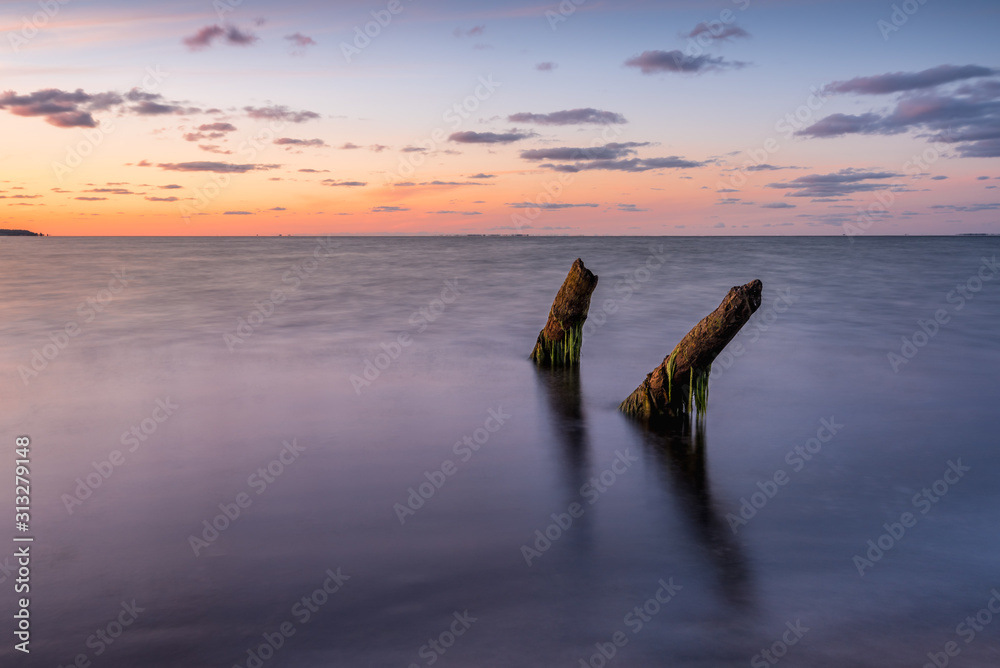 Old wooden piles on the beach.Baltic Sea, Rewa, Poland