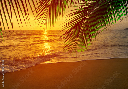 Fototapeta Naklejka Na Ścianę i Meble -  Tropical palm leaves at sunset on the beach 