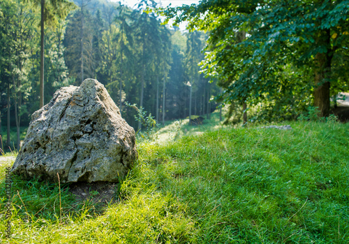 Fels im Grünen.