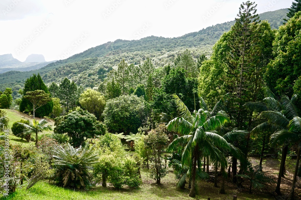 Fototapeta premium maurice 2018