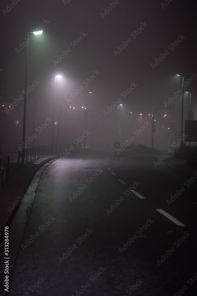 Straße, Alee im Nebel, Lichtstimmung