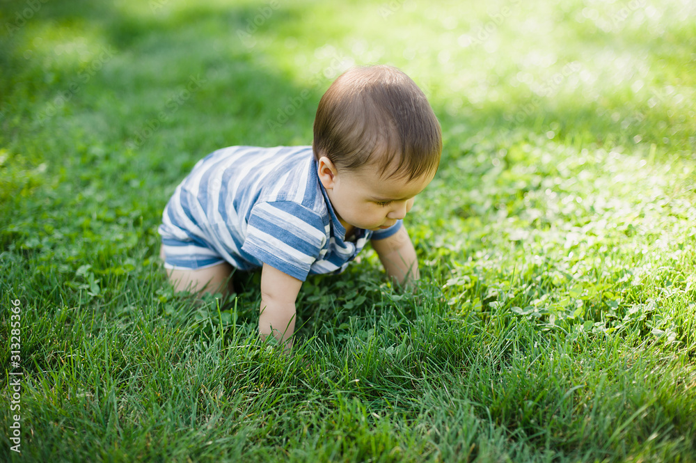 7 month child crawls on grass in yard, 7 month child crawls on grass in yard,