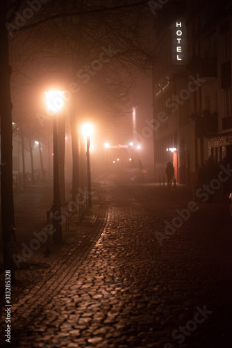 Stra  e  Alee im Nebel  Lichtstimmung