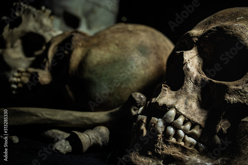 Schädel Skull Aufreihung © Alexis