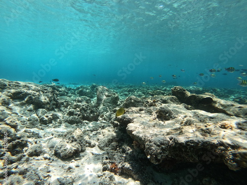 view of sea and coral reef