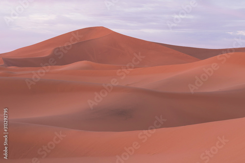  Desert landscape sand dunes at sunset sky near Merzouga  Morocco  Africa.  Discovery and adventure travel concept. Sunlight over the desert dunes.