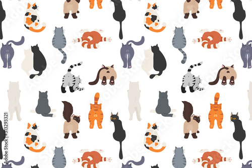 Fototapeta Naklejka Na Ścianę i Meble -  Cats poses behind. Cat`s butts. Flat design pattern