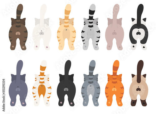 Cats poses behind. Cat`s butts. Flat design clipart