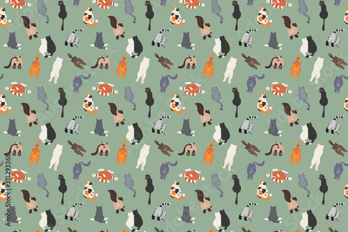 Cats poses behind. Cat`s butts. Flat design pattern
