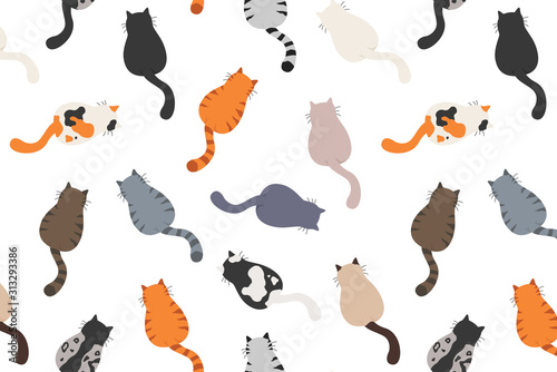 Cats poses behind. Cat`s butts. Flat design pattern