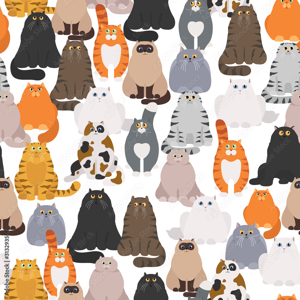 Fototapeta Cat poster. Cartoon cat characters seamless pattern. Different cat`s poses and emotions set. Flat color simple style design