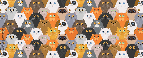Cat poster. Cartoon cat characters seamless pattern. Different cat`s poses and emotions set. Flat color simple style design