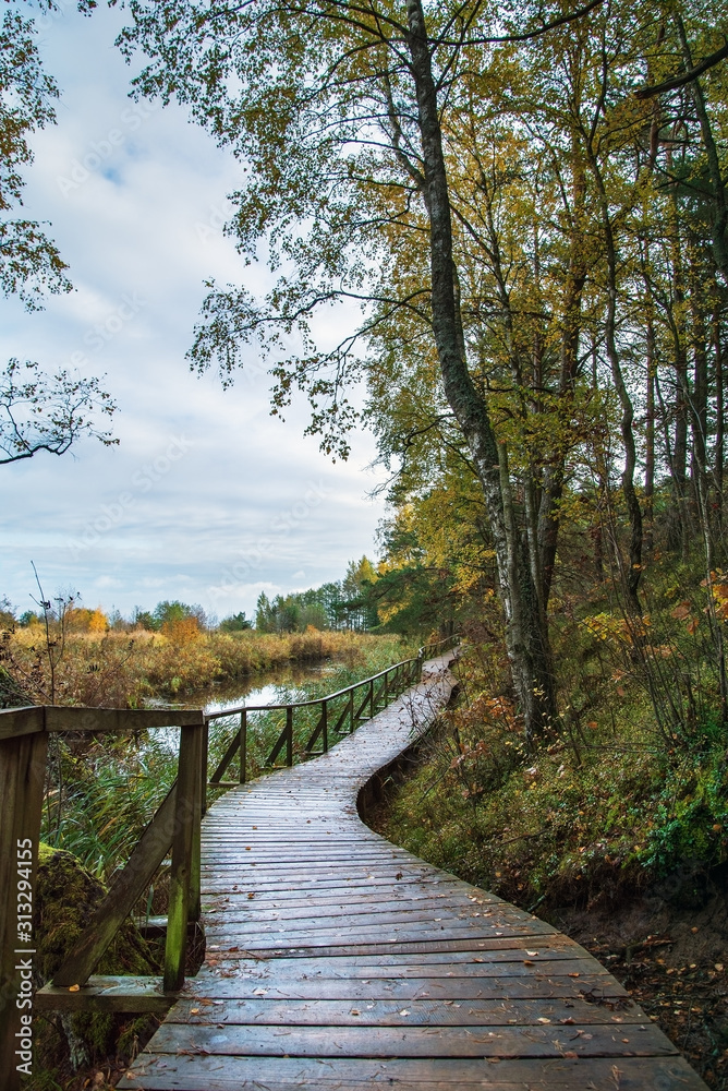 Fototapeta premium View of wooden path.